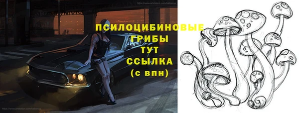 стафф Заполярный