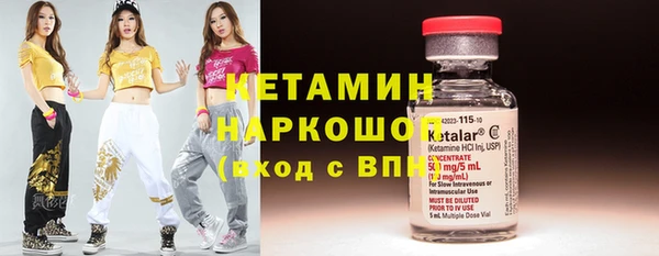 гидра Новозыбков