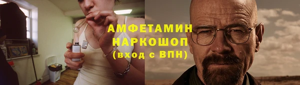 гидра Новозыбков