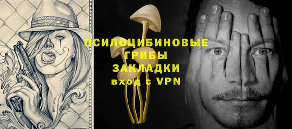 гидра Новозыбков
