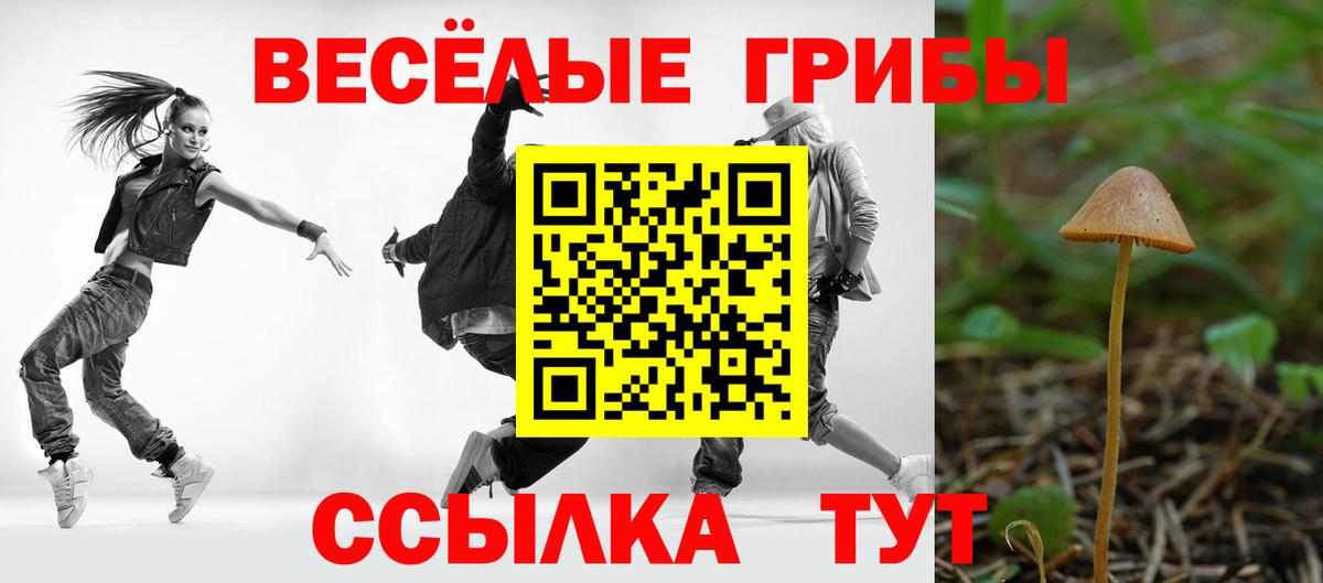 Галлюциногенные грибы Magic Shrooms  Вход с VPN  Касимов 
