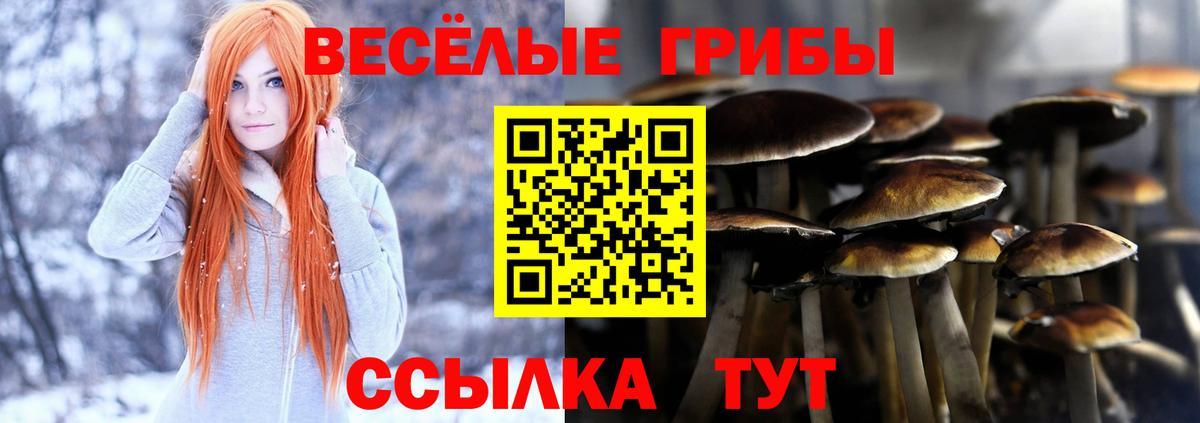 Псилоцибиновые грибы мухоморы Касимов